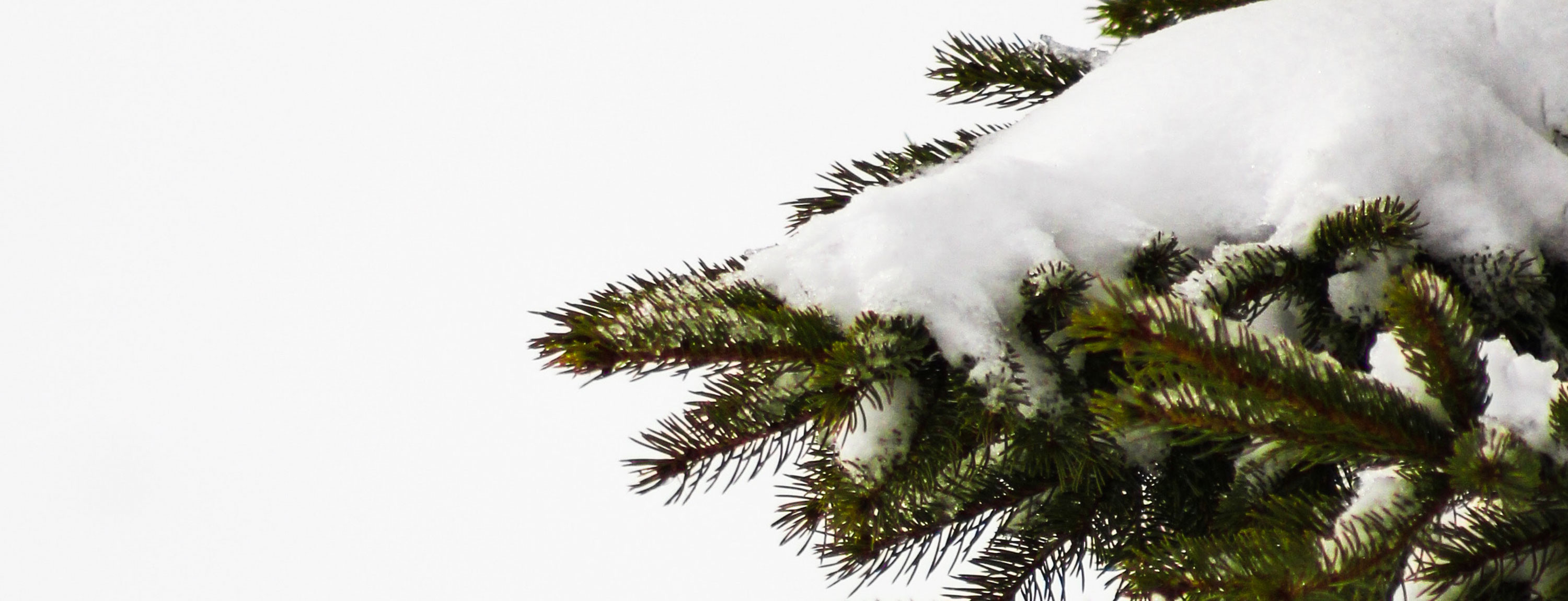 Öffnungszeiten zwischen den Jahren